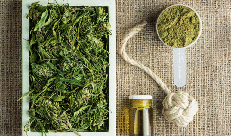 Unlocking Potential: Hemp & Medicinal Cannabis in Aotearoa – A $2 Billion Opportunity