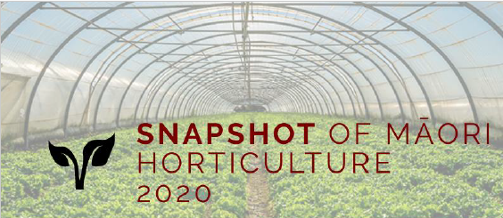Māori in Horticulture: A Growing Force in Aotearoa’s Food Future